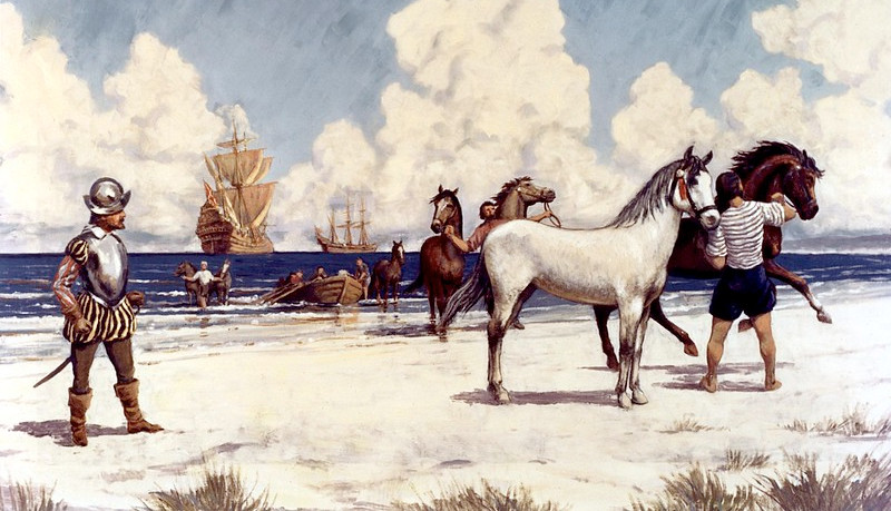 Spanish horses