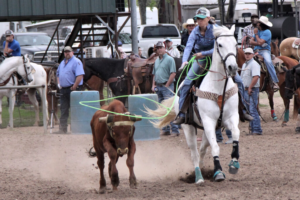 Team Roping New Braunfels Texas 04