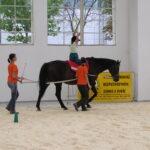 Therapeutic horseback riding