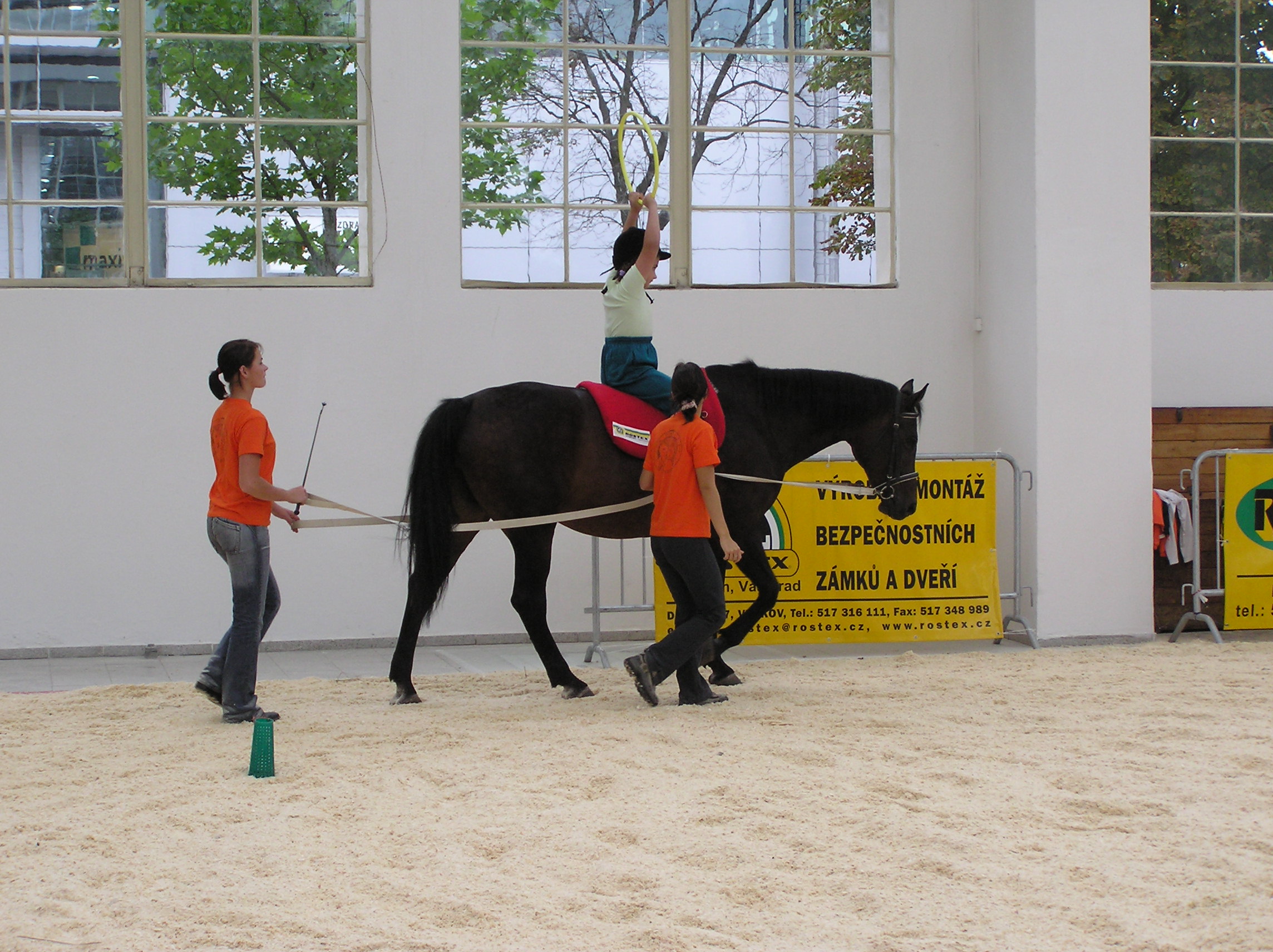 Therapeutic horseback riding