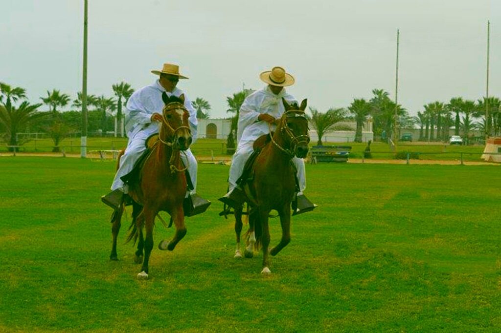 Competition of Paso Horses in Trujillo is a contest held in Trujillo city located at northern Peru. 