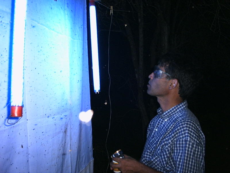 Ultraviolet trap entomologist