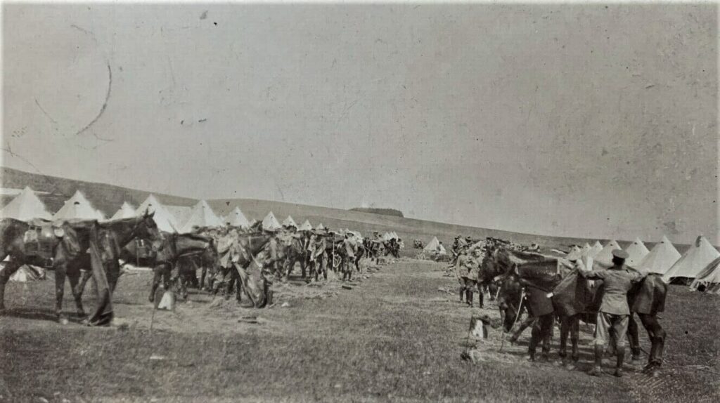 Vintage Postcard Silsoe Bedford Military Camp WW1 Cavalry