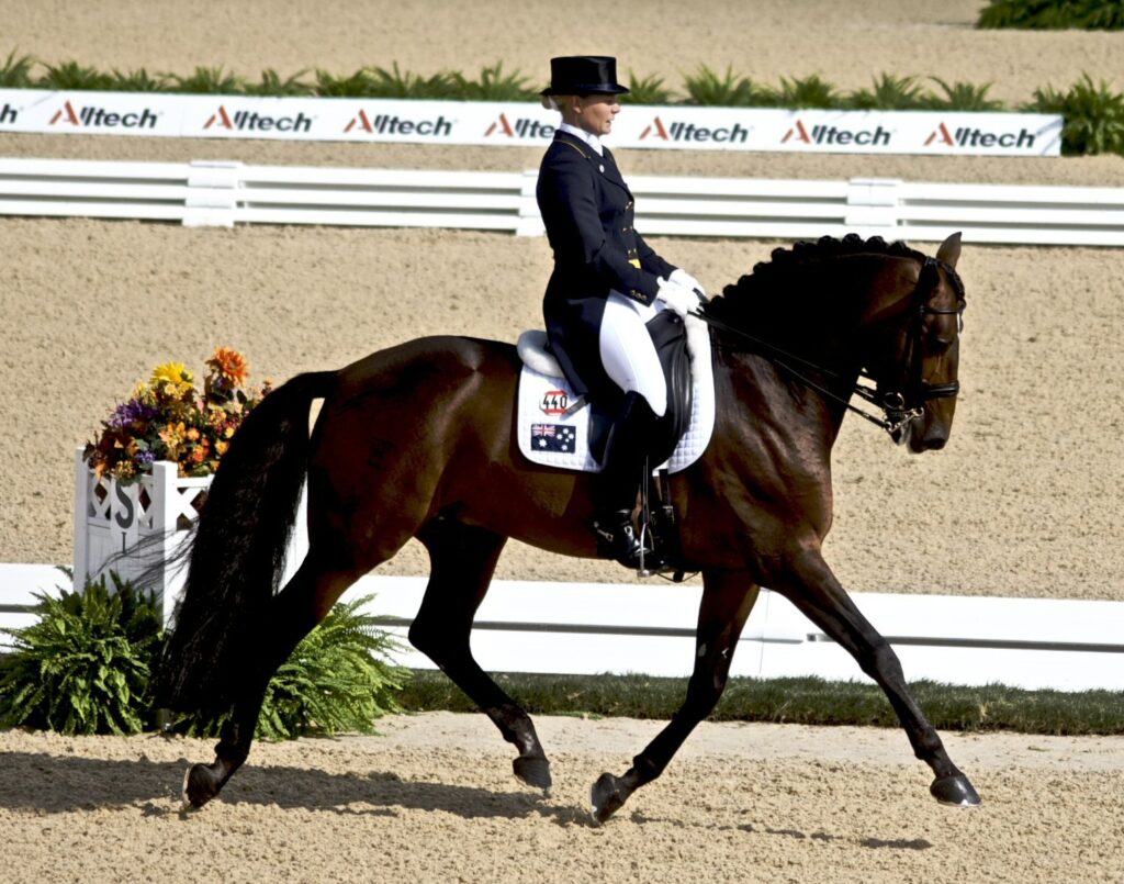 Dressage Qualifying