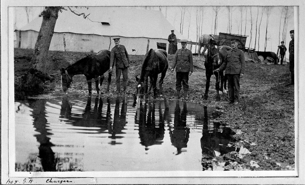 WW1; stationary hospital, Rouen; "chargers" watering horses