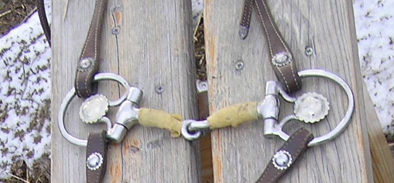 A snaffle bit with western styling, also wrapped in rubber to make it milder. Ring shape is in D-Ring/ Eggbutt family