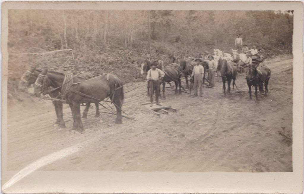 Horse logging