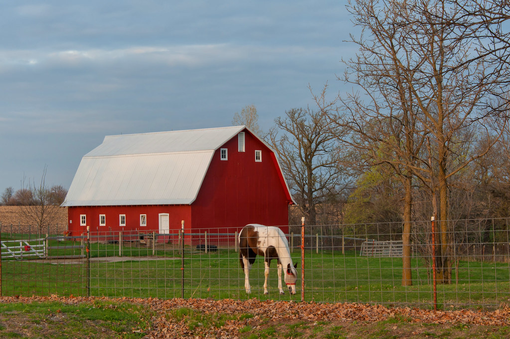 Red barn and a horse