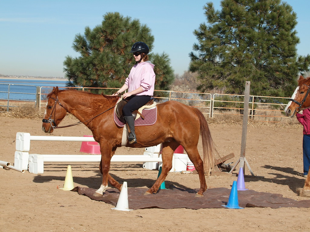 Horse and rider walk over the tarp
