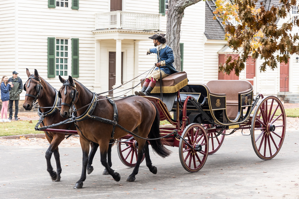Horse Carriage Ride in Virginia