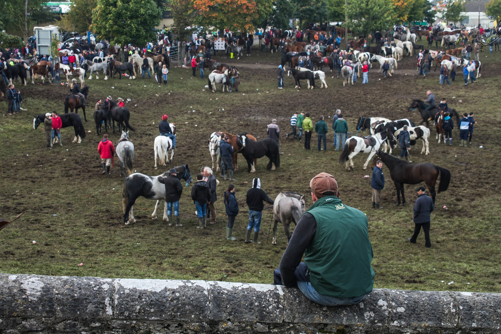 Ballinasloe horse fair