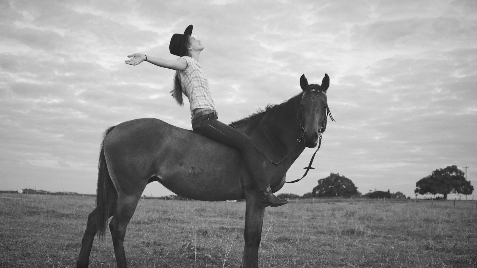 woman riding horse on grass field