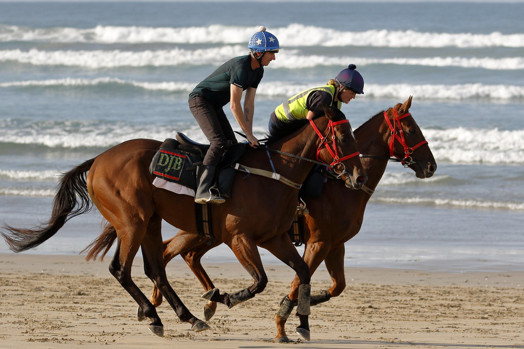Horse Riders