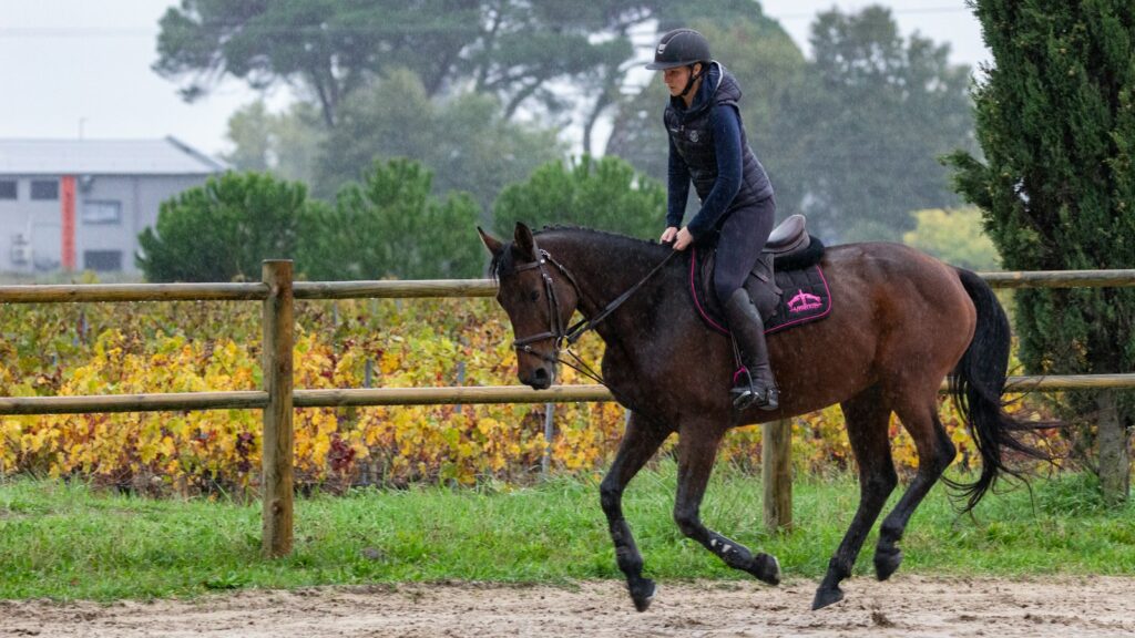 man riding brown horse during daytime
