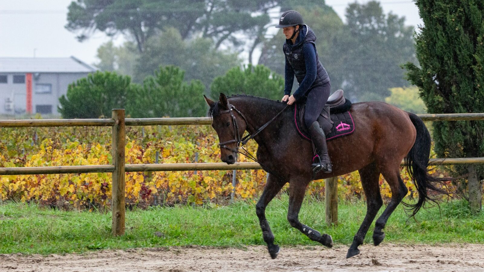 man riding brown horse during daytime