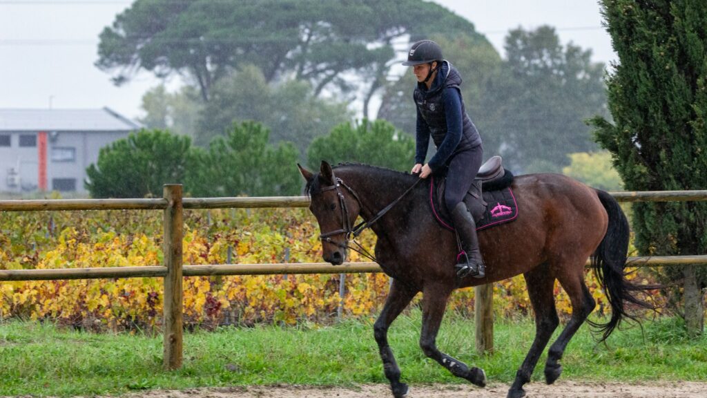 man riding brown horse during daytime