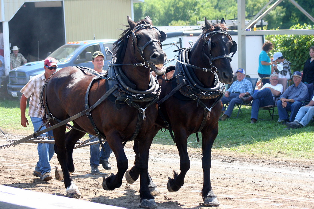 Stirling Agricultural Society Fair