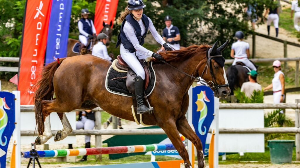 man in blue and white long sleeve shirt riding brown horse during daytime