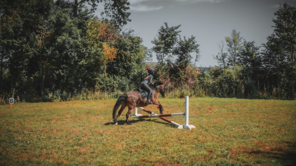 a person riding a horse