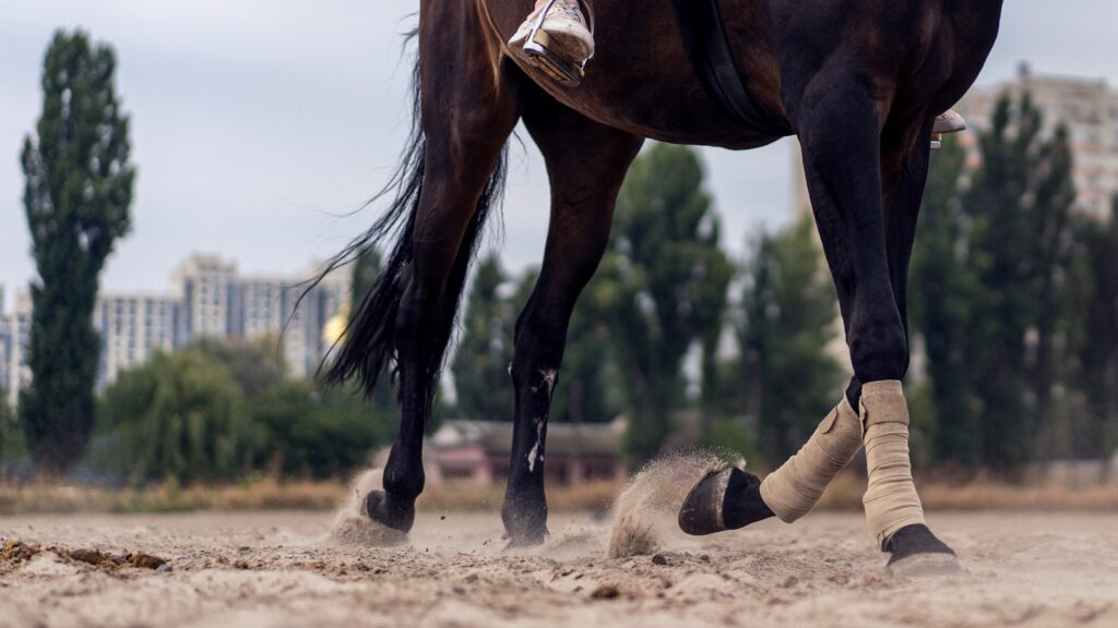 brown horse running on brown sand during daytime