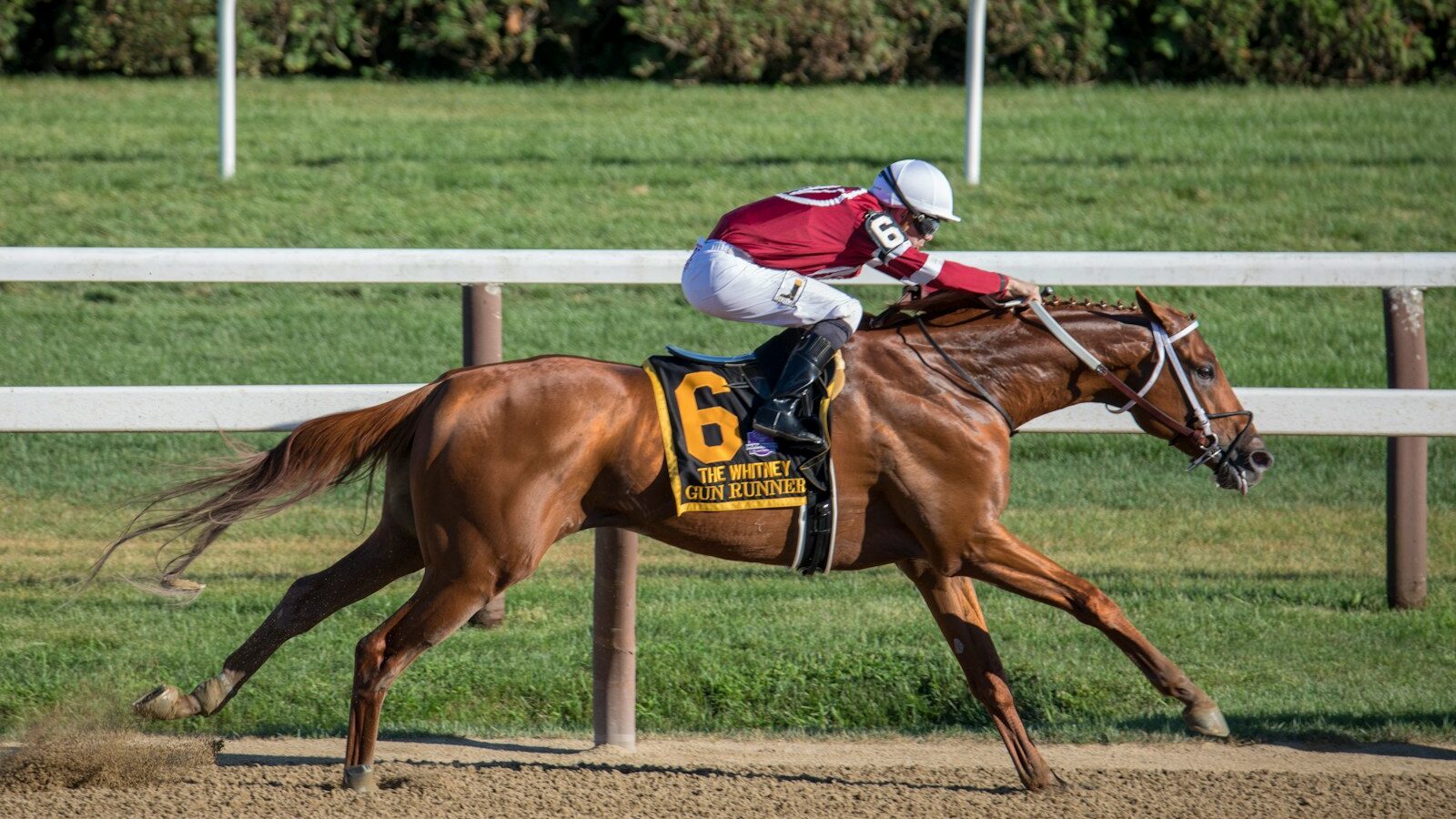 Jockey riding horse
