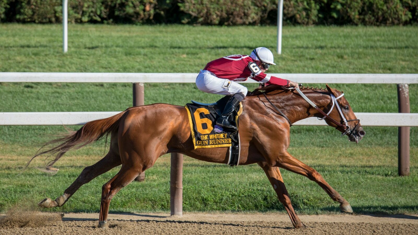 Jockey riding horse
