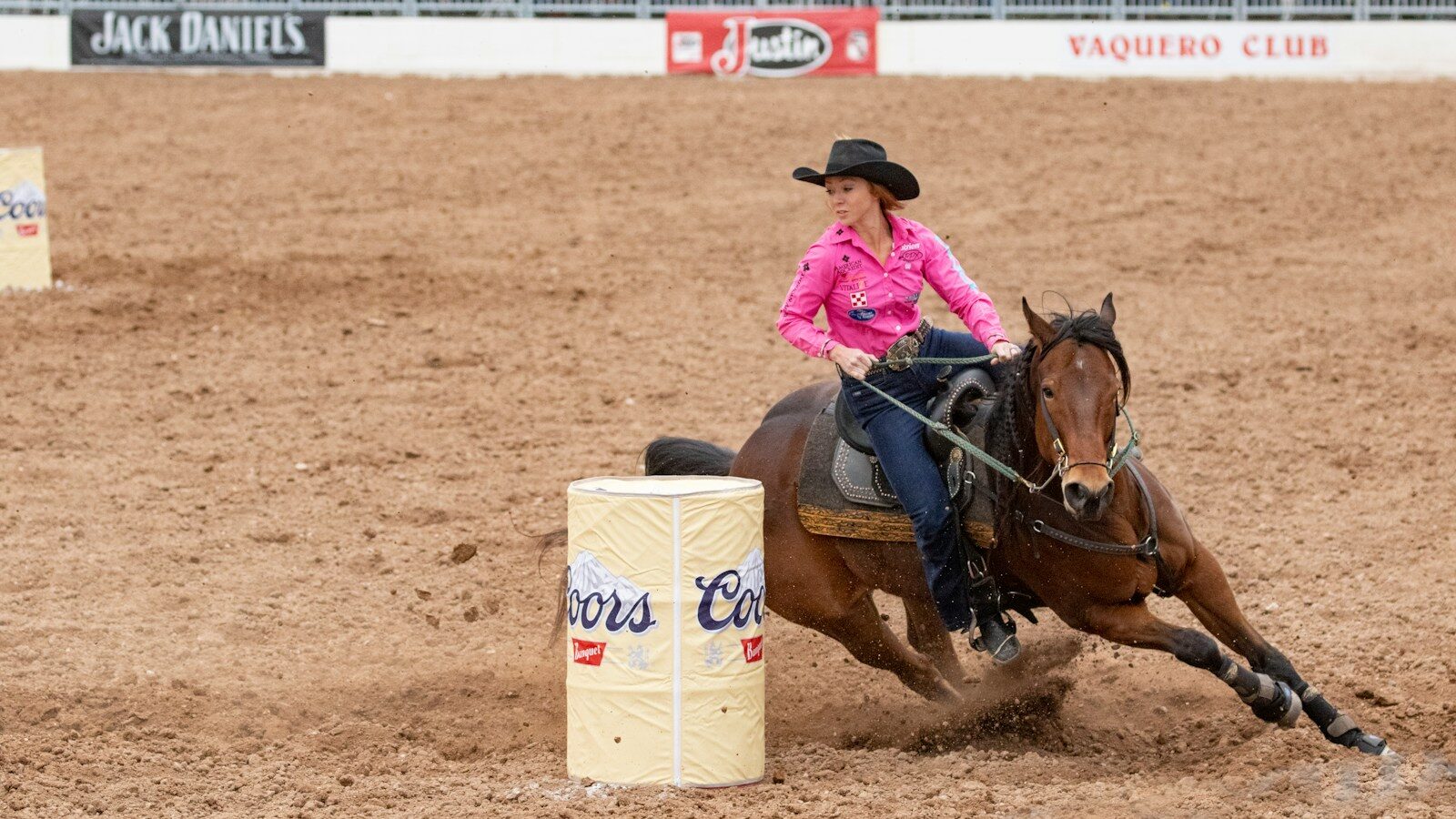 woman in pink shirt riding brown horse during daytime