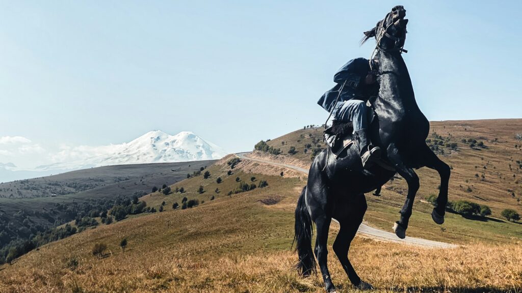a horse with a saddle on its back
