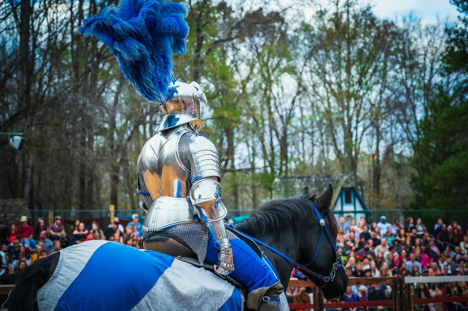 A man dressed in armor riding on the back of a horse