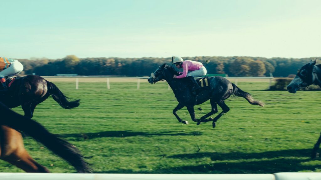 a group of people riding on the backs of horses