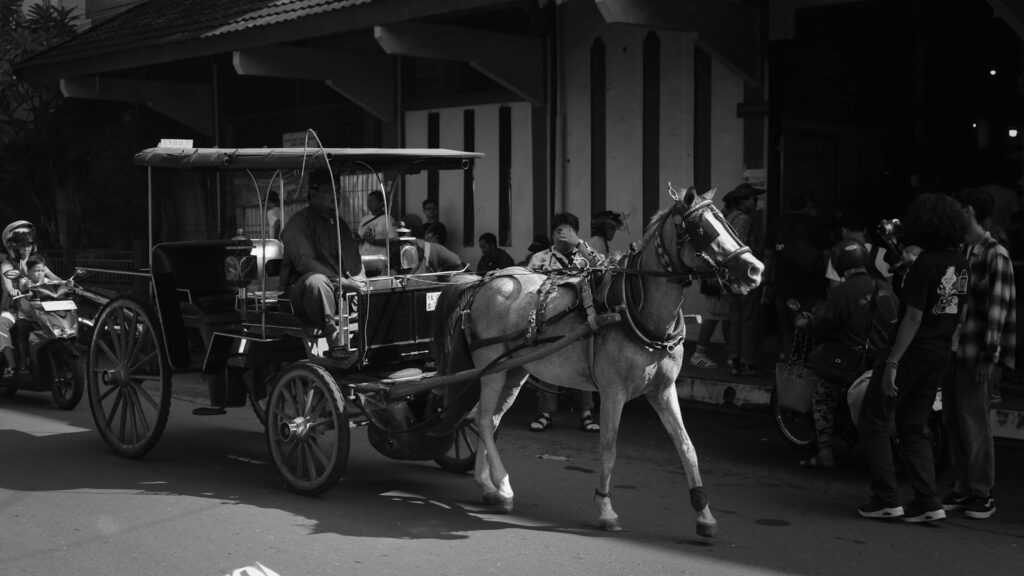 a black and white photo of a horse drawn carriage