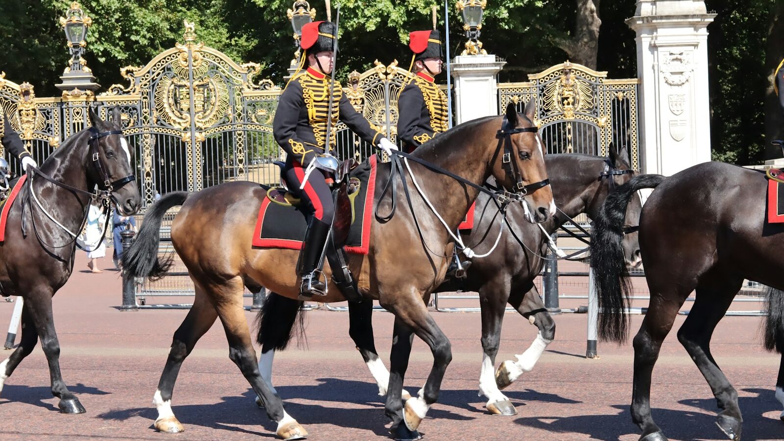 A group of men riding on the backs of horses