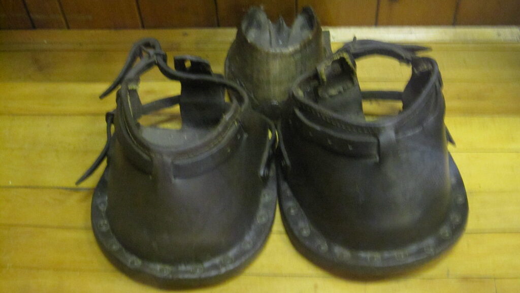 protective shoes for horse hooves