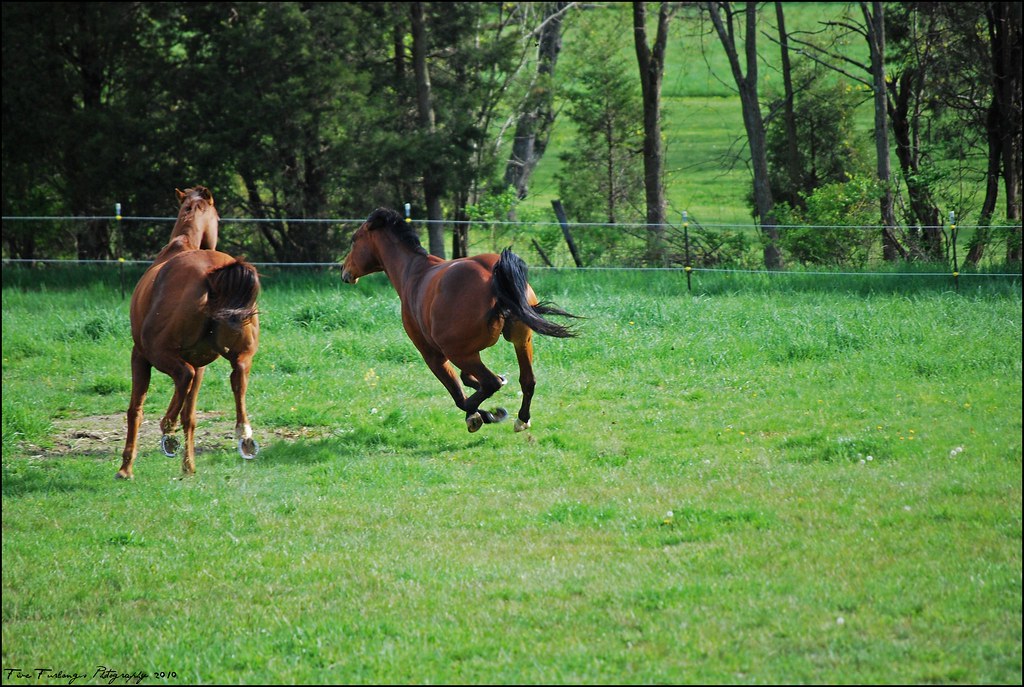 Riding anxious horse