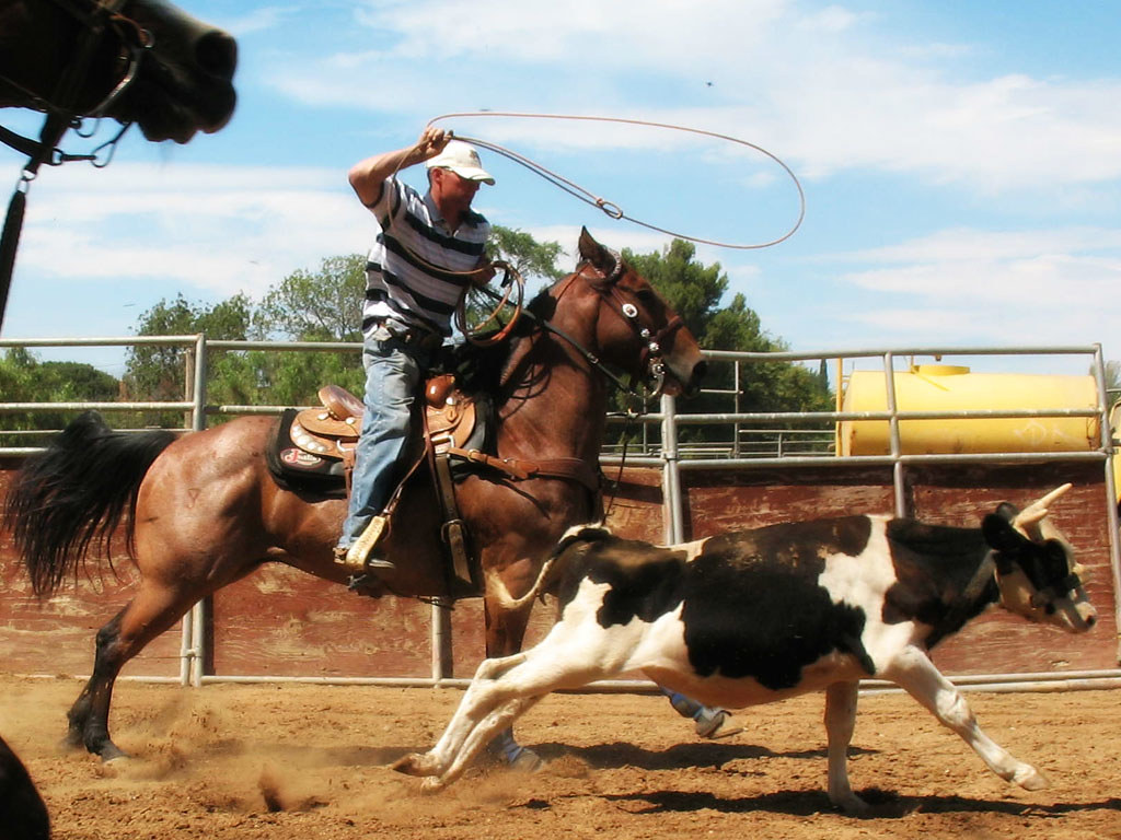 Roping - Up Close