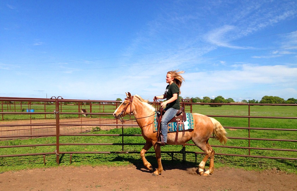 Horse and rider outdoors