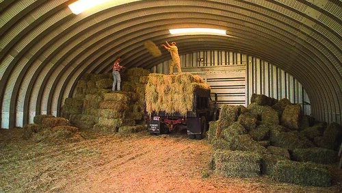 workers are working to keep the hay stacks