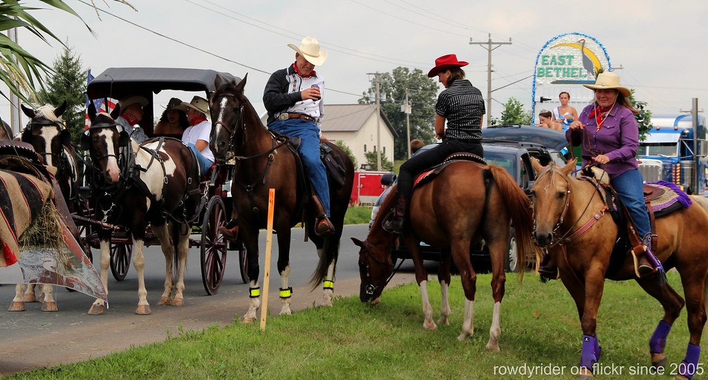 Hanover Parade Horses