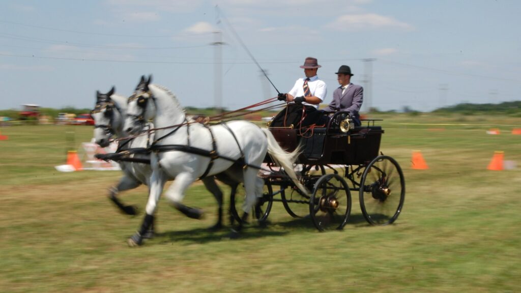 a couple of men riding on the back of a white horse