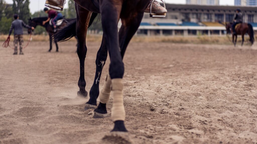 black horse running on brown sand during daytime