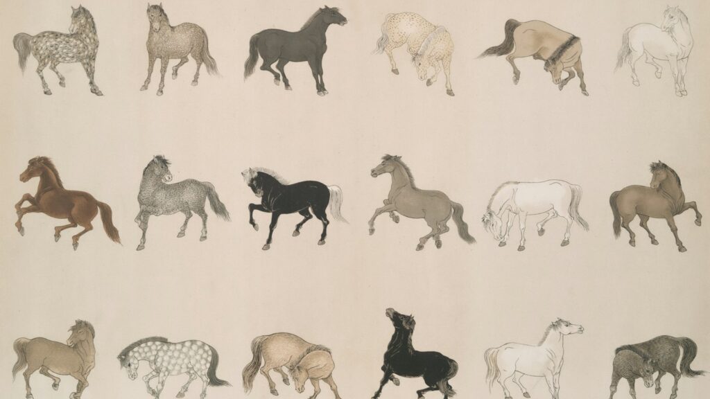 A group of horses standing in a row