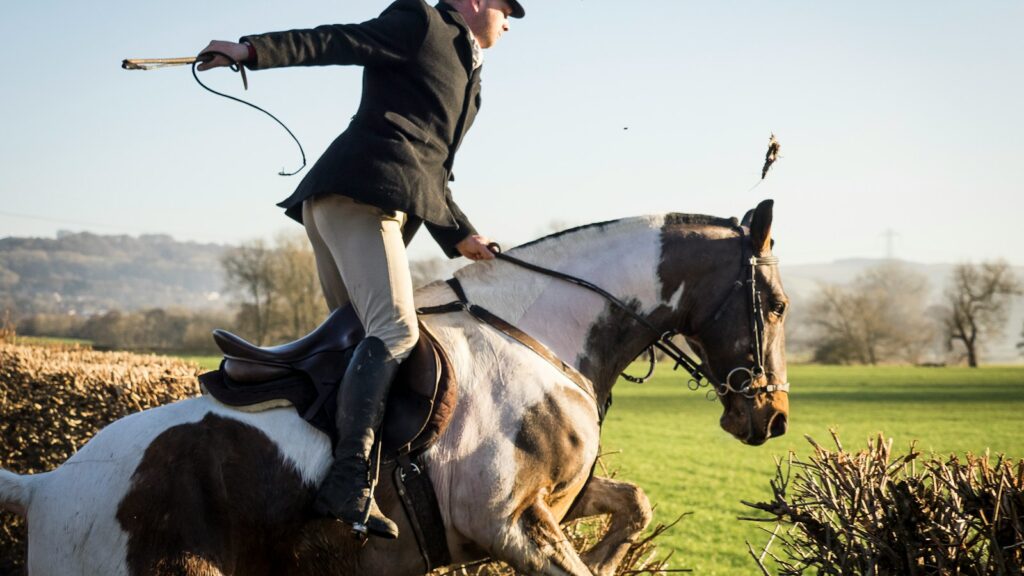 man riding horse near plant during daytime