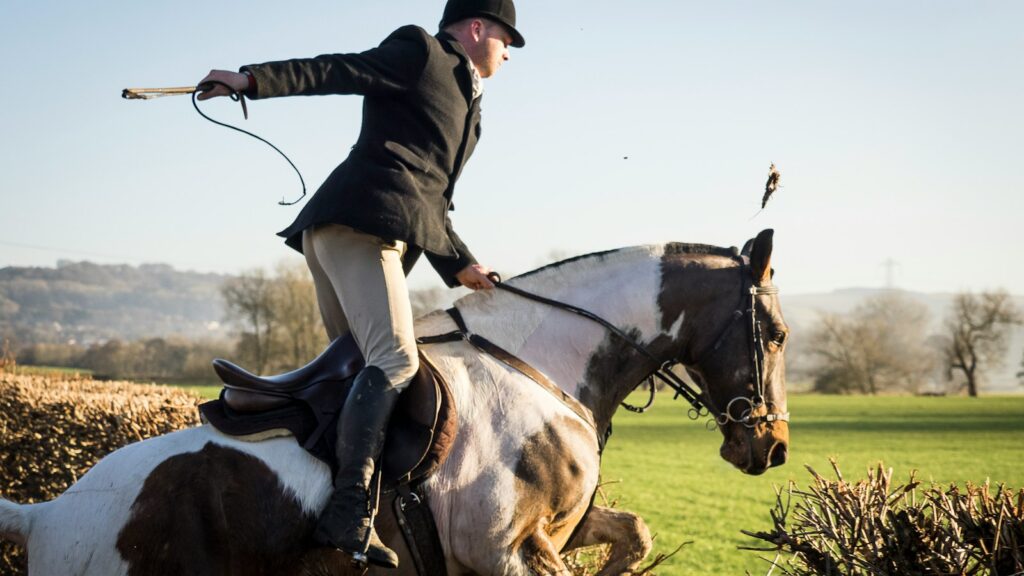 man riding horse near plant during daytime