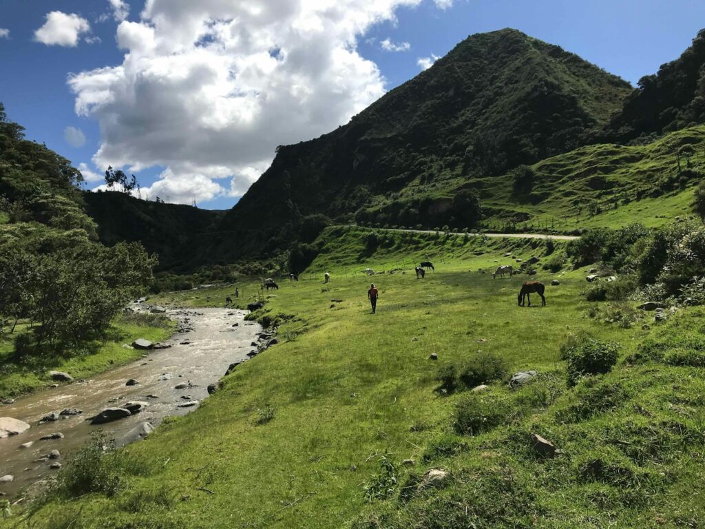 Green grass field near mountain under white clouds during daytime