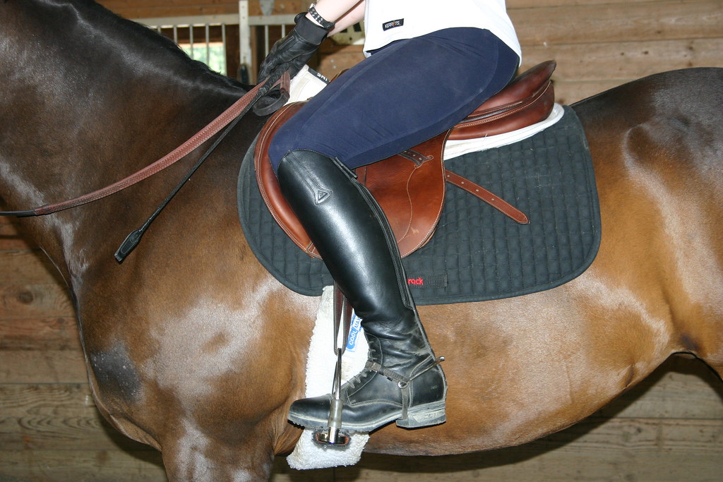 Saddle Fitting