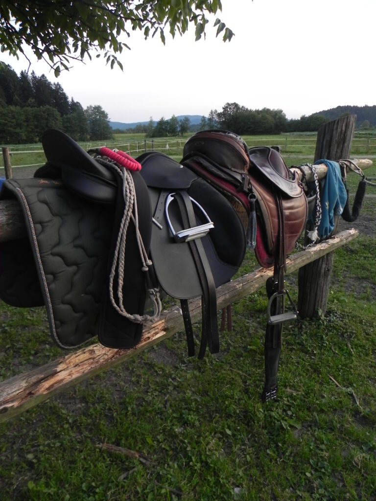 Treeless Saddles for Trail, Endurance, Gaiting