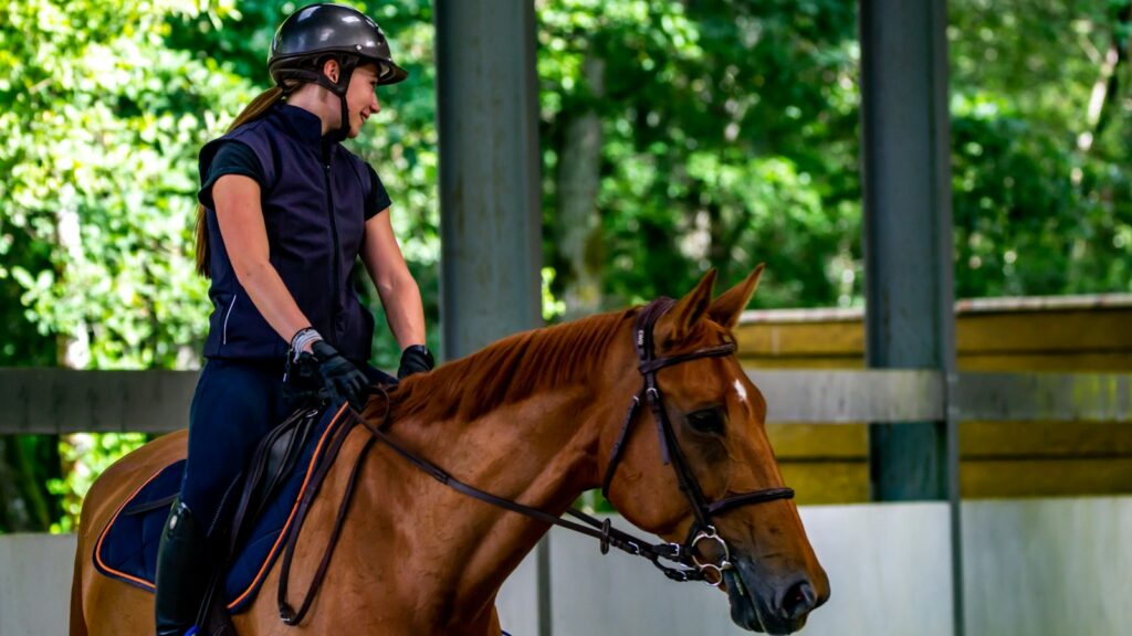 man in black helmet riding brown horse during daytime