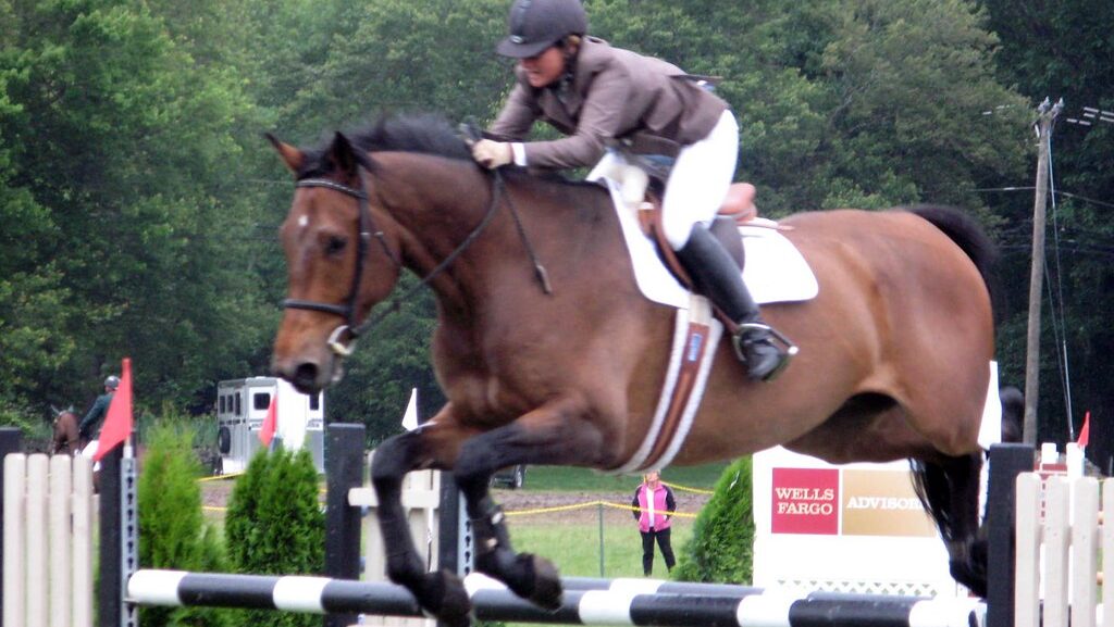 horse jumping in the competition