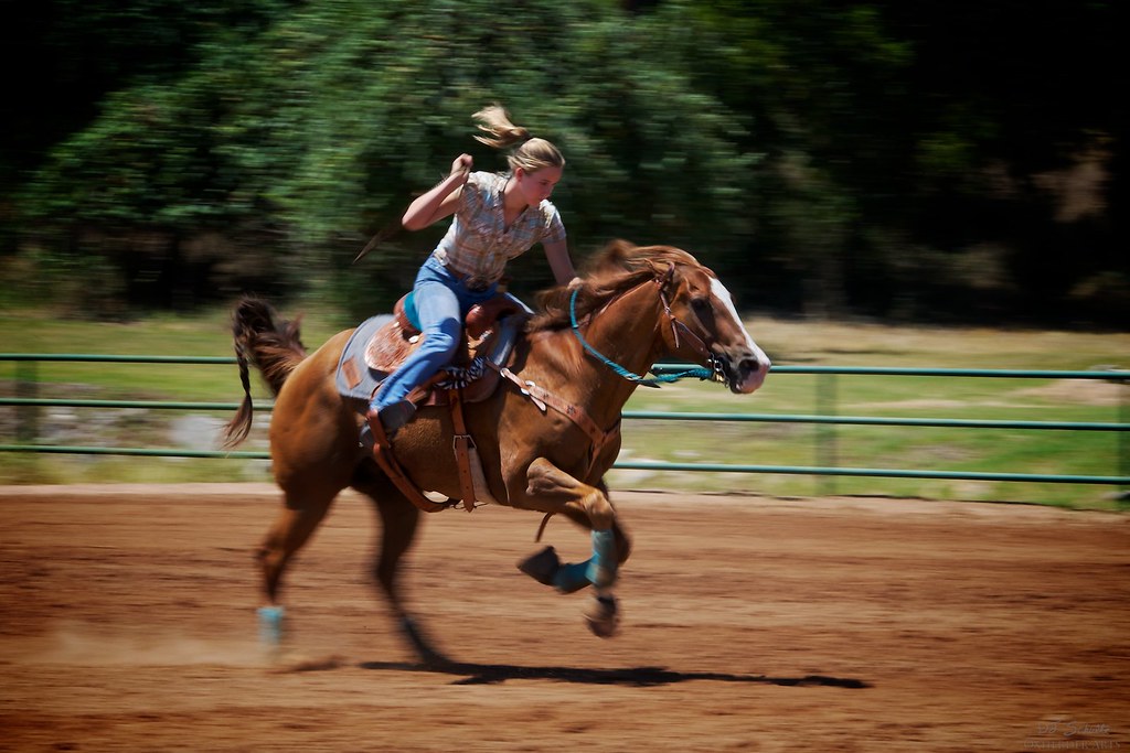 Speedy Barrel Racer