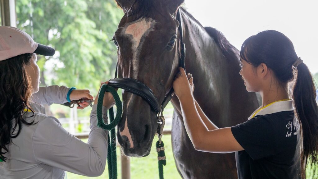 A woman standing next to a brown horse